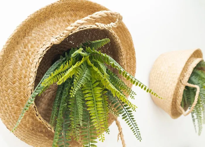 Picnic Dreams BoutiqueHostel