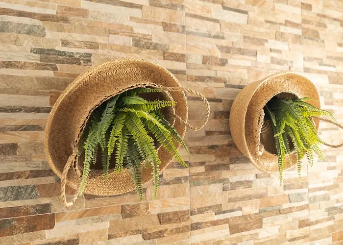 Picnic Dreams BoutiqueHostel